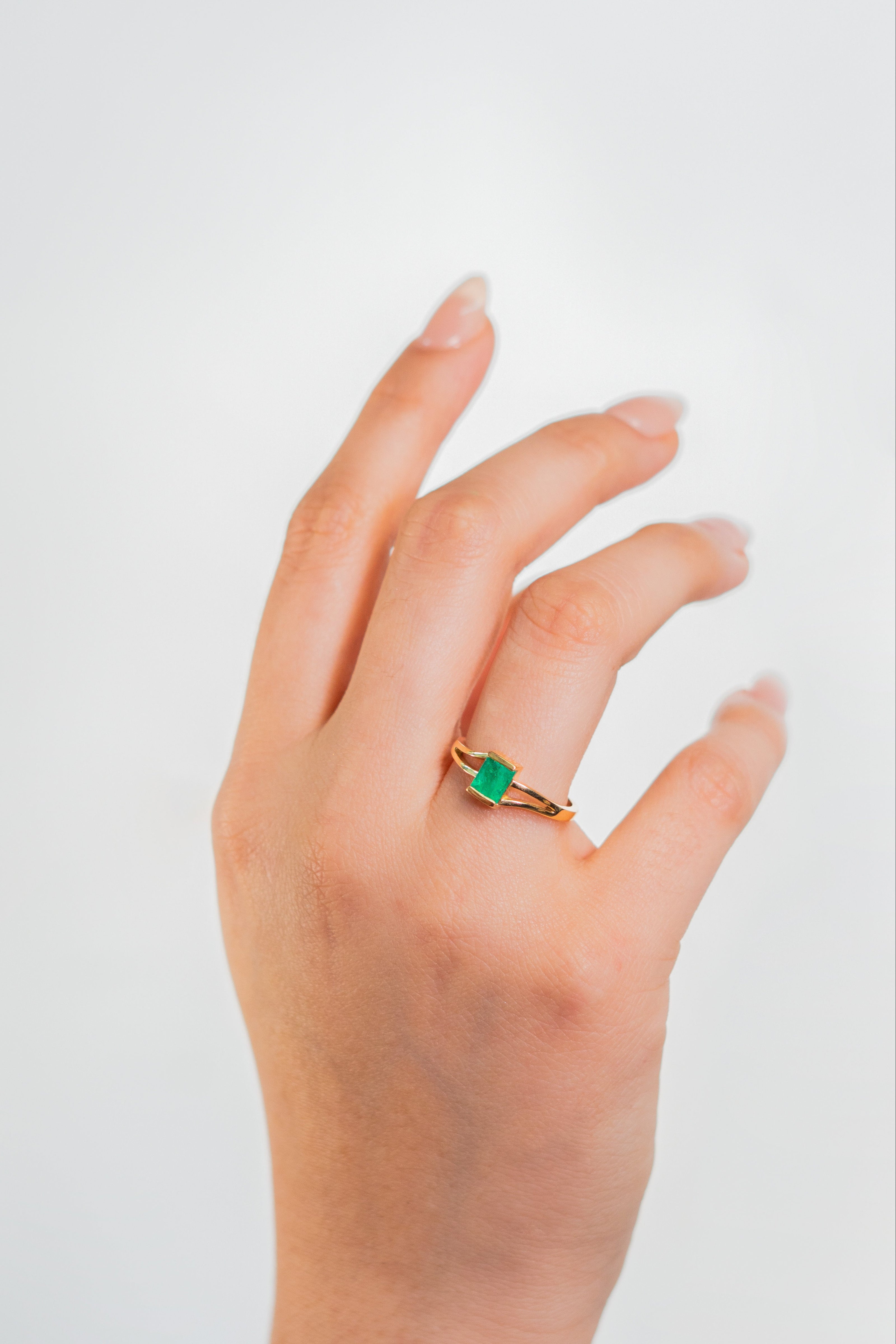 Anillo de Compromiso - FOREST