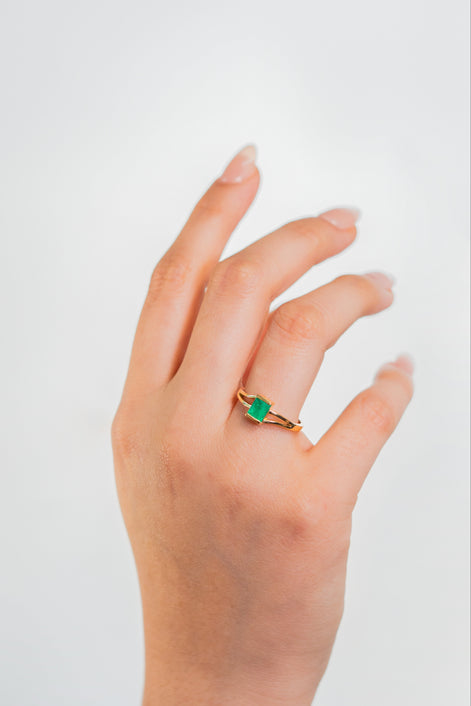 Anillo de Compromiso - FOREST